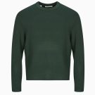 Maglione Selected SLHTELLER FN RELAXED CREW NECK Verde Maglioni Uomo - 1