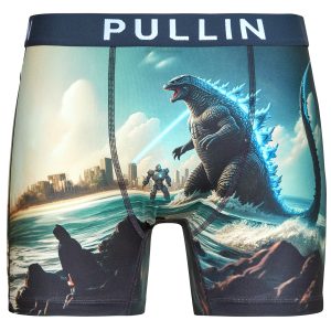 Mutande uomo uomo Pullin  FASHION 2  Multicolore Pullin 3666699114205