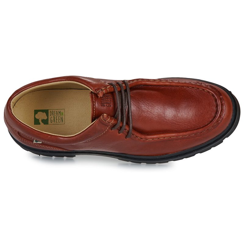 Dream in Green ACAJOU Marrone Derby Uomo - 6