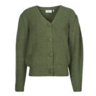 Gilet / Cardigan Betty London VIVELLE Gilet/cardigan vert pour femme - 1