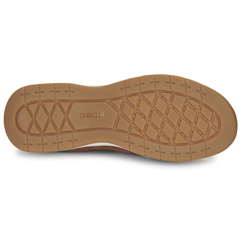 Geox D BERINIKE B ABX B Sneakers basse multicolore da donna - 7