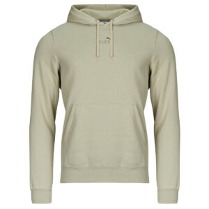 Felpa uomo Puma  ESS Small No. 1 Logo centered Logo Hoodie FL  Grigio Puma 4069161969249