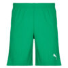 Pantaloni corti uomo Puma  TEAMRISE MATCHDAY  Verde Puma 4063699209853