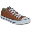 Converse  CHUCK TAYLOR ALL STAR  Marrone -  Sneakers basse Donna