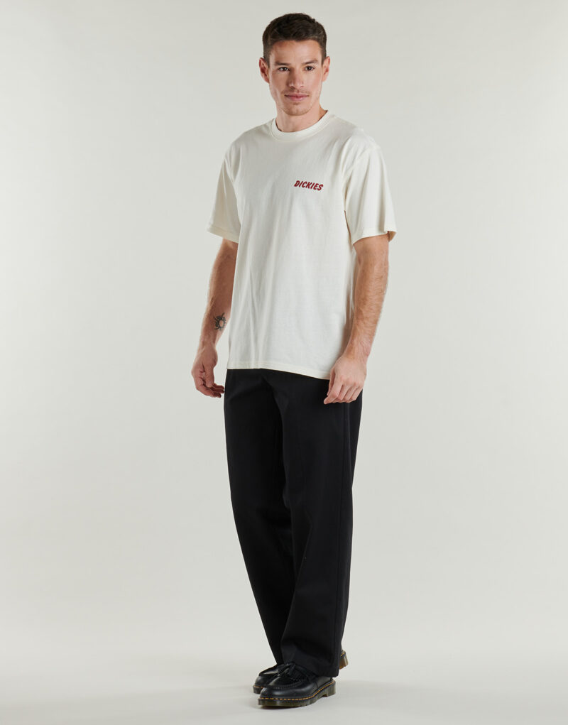 Pantalone Chino Dickies 247 LOOSE WORK PANT BLACK Nero Pantaloni Chino Uomo - 3