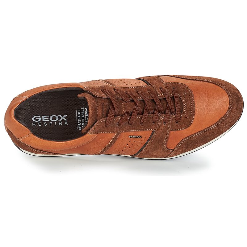 Geox CLEMENT Marrone Sneakers Uomo - 6