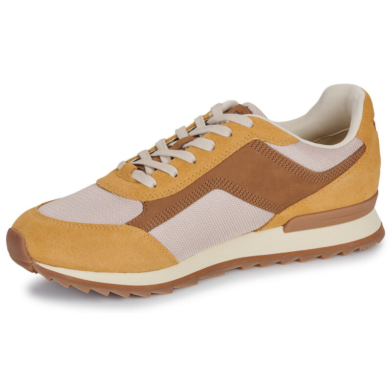 Timberland  SCOUT HEIGHTS  Beige -  Sneakers Uomo - 4