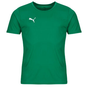 T-shirt uomo Puma  TEAMRISE MATCHDAY  Verde Puma 4067978043176