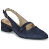 Dorking  TEA  Blu -  Ballerine Donna
