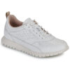 Geox  D SUKIE 2.0  Bianco -  Sneakers basse Donna