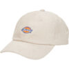 Cappellino  Dickies  HARDWICK CORDUROY CAP STONE  Bianco -  Cappellini Donna