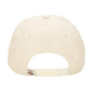 Cappellino  Dickies  HARDWICK WHITECAP GRAY  Beige -  Cappellini Donna - 2