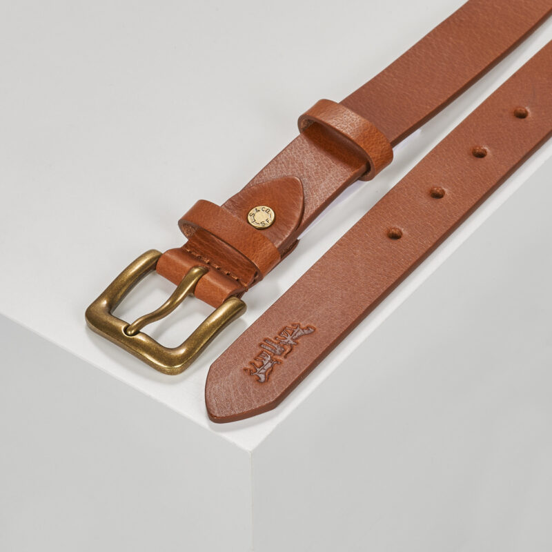 Cintura Levis ADDISON BELT Marrone Cinture Uomo - 2