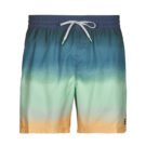 Pantalones cortos de playa para hombre Billabong ALL DAY FADE LB Multicolor - 1