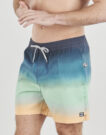 Pantalones cortos de playa para hombre Billabong ALL DAY FADE LB Multicolor - 3