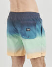 Pantalones cortos de playa para hombre Billabong ALL DAY FADE LB Multicolor - 4