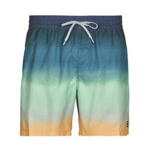 Costume / Bermuda da spiaggia uomo Billabong  ALL DAY FADE LB  Multicolore Billabong 3616751976890