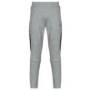 Pantaloni Sportivi uomo Puma EVOSTRIPE CORE Pants Grigio Puma 4067983665509