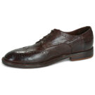 Moma  WORD  Marrone -  Derby Uomo - 4