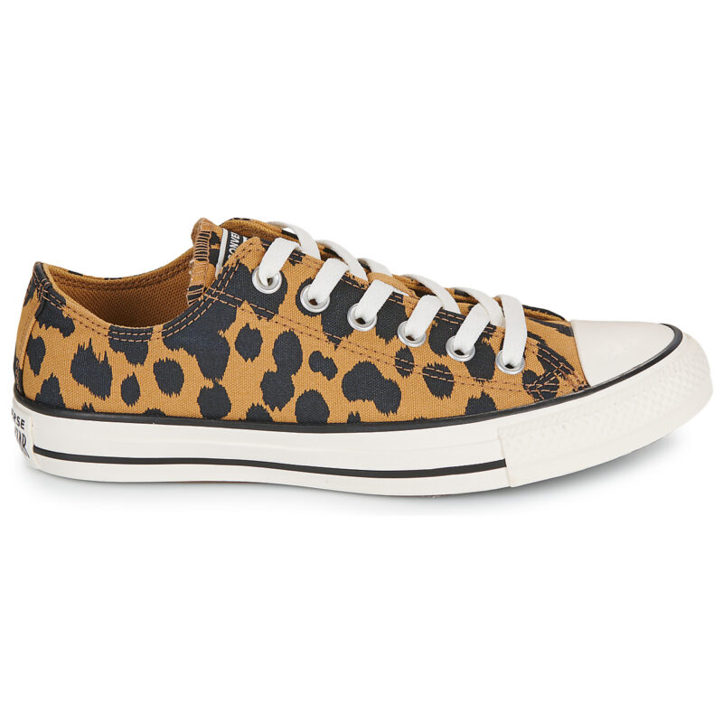 Converse  CHUCK TAYLOR ALL STAR COW PRINT  Marrone -  Sneakers basse Donna - 2