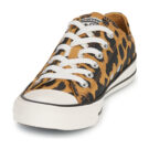 Converse  CHUCK TAYLOR ALL STAR COW PRINT  Marrone -  Sneakers basse Donna - 3