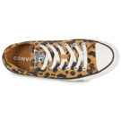 Converse  CHUCK TAYLOR ALL STAR COW PRINT  Marrone -  Sneakers basse Donna - 6