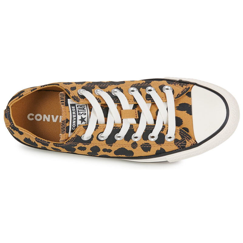 Converse  CHUCK TAYLOR ALL STAR COW PRINT  Marrone -  Sneakers basse Donna - 6