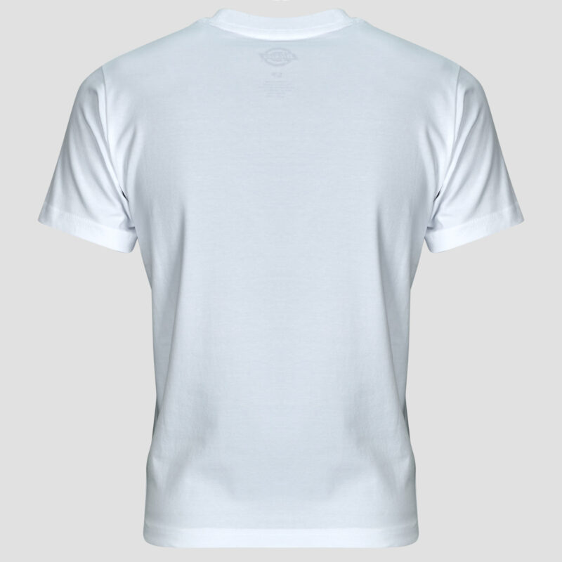 T-shirt Dickies MAPLE VALLEY REG TEE Bianco - T-shirt maniche corte Donna - 6