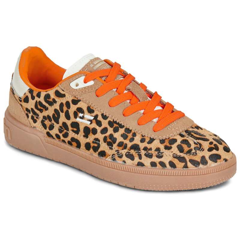 D.Franklin  REBEL 387  Marrone -  Sneakers basse Donna - 1