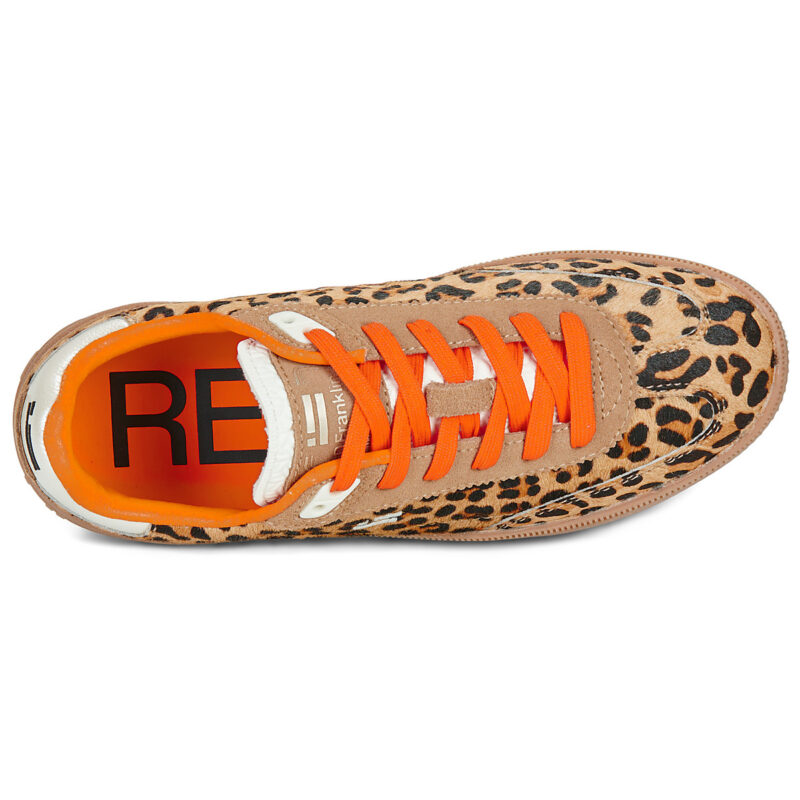 D.Franklin  REBEL 387  Marrone -  Sneakers basse Donna - 6