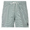 Costume / Bermuda da spiaggia uomo Quiksilver EVERYDAY DELUXE VOLLEY 15 Blu Quiksilver 3616751649220