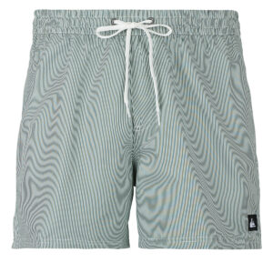 Costume / Bermuda da spiaggia uomo Quiksilver  EVERYDAY DELUXE VOLLEY 15  Blu Quiksilver 3616751649220