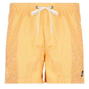 Costume / Bermuda da spiaggia uomo Quiksilver  EVERYDAY DELUXE VOLLEY 15  Giallo Quiksilver 3616751649282