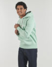 Felpe con cappuccio Tommy Hilfiger TOMMY LOGO HOODY Verde Felpe con cappuccio Uomo - 2