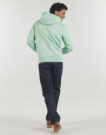 Felpe con cappuccio Tommy Hilfiger TOMMY LOGO HOODY Verde Felpe con cappuccio Uomo - 4