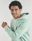 Felpe con cappuccio Tommy Hilfiger TOMMY LOGO HOODY Verde Felpe con cappuccio Uomo - 5
