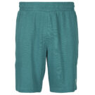 Pantaloni corti Puma ESS ELEVATED Relaxed Shorts 9' Verde Pantaloni corti Uomo - 1