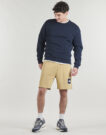 Short The North Face BOX NSE LIGHT REGULAR Beige pour homme - Taille 2