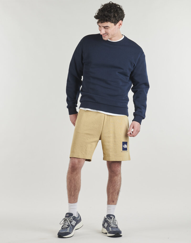 Short The North Face BOX NSE LIGHT REGULAR Beige pour homme - Taille 2