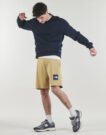 Short The North Face BOX NSE LIGHT REGULAR Beige pour homme - Taille 3