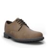 Scarpe uomo Timberland  STORMBUCKS OX  Marrone Timberland