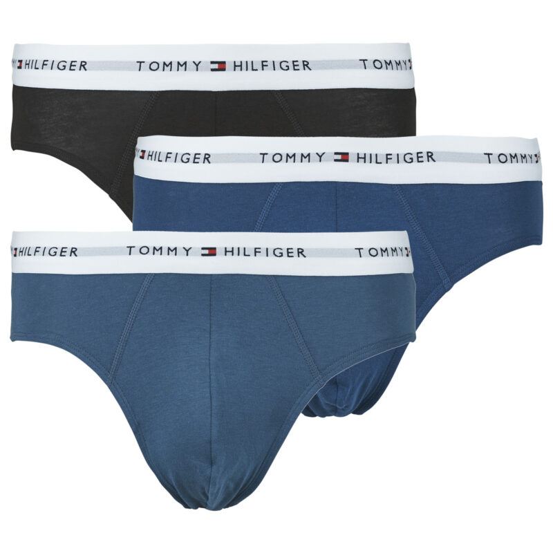 Slip Tommy Hilfiger BRIEF X3 Multicolore - Slips Homme - Lot de 1