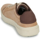 Baskets Timberland SENECA BAY marron pour homme - Pointure 5