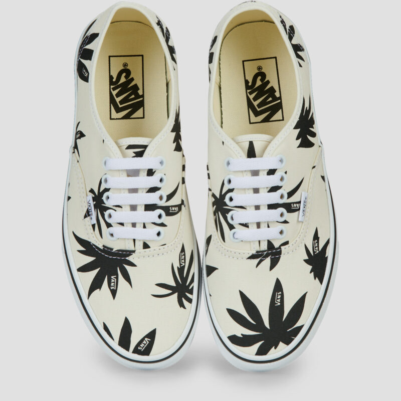 Vans  Authentic KIG -  Archive MARSHMALLOW/BLACK  Bianco -  Sneakers Uomo - 5