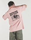 T-shirt Dickies BUCHTELL SS TEE BRIDAL ROSE Rosa T-shirt maniche corte Uomo - 2