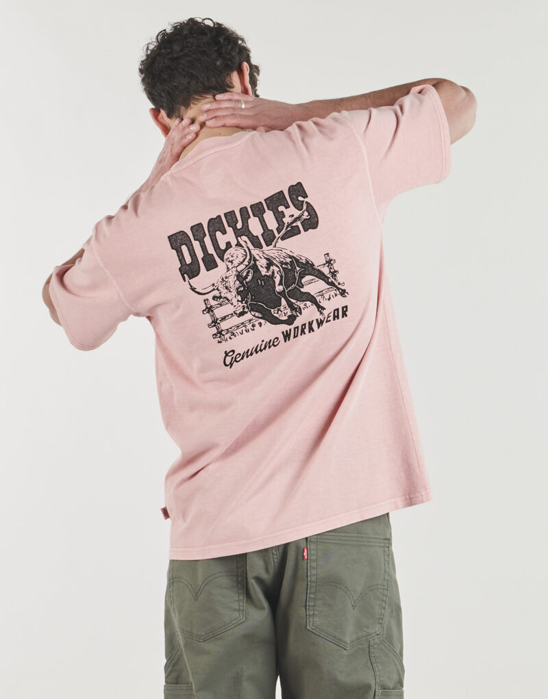 T-shirt Dickies BUCHTELL SS TEE BRIDAL ROSE Rosa T-shirt maniche corte Uomo - 2