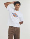 T-shirt Dickies DICKIES ICON SS TEE WHITE Bianco T-shirt maniche corte Uomo - 2