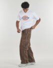 T-shirt Dickies DICKIES ICON SS TEE WHITE Bianco T-shirt maniche corte Uomo - 3