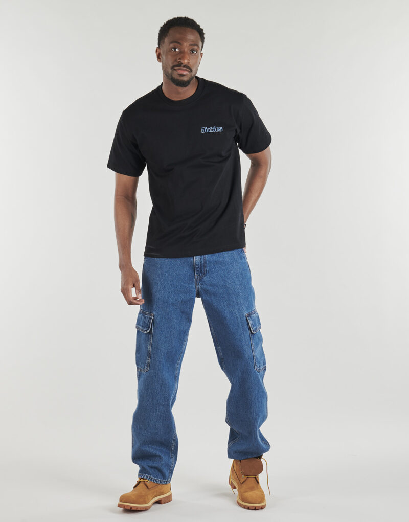 T-shirt Dickies FAIRLAWN SS TEE BLACK Nero T-shirt maniche corte Uomo - 3