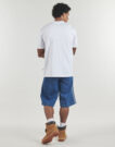 T-shirt Dickies LURAY POCKET TEE SS WHITE Bianco T-shirt maniche corte Uomo - 4